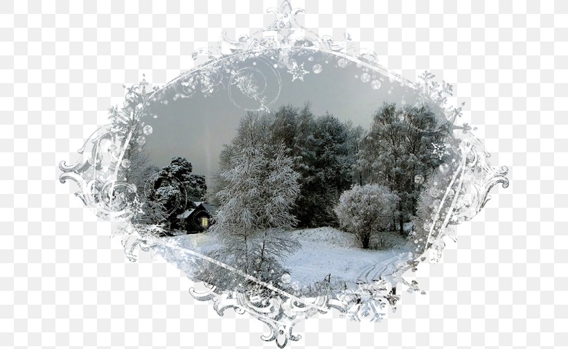Tree Winter, PNG, 650x504px, Tree, Freezing, Frost, Ice, Snow Download Free