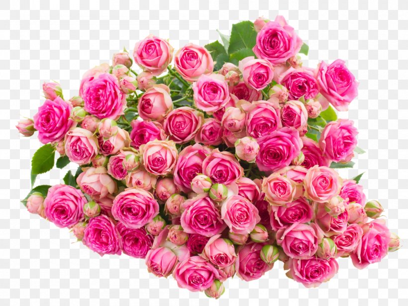 Rose Pink Flower Wallpaper, PNG, 1000x750px, Rose, Annual Plant, Artificial Flower, Color, Cut Flowers Download Free