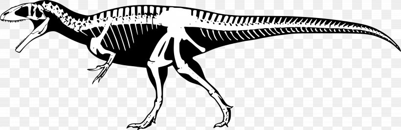 Torvosaurus Tyrannosaurus Portugal Skeleton Animal, PNG, 4000x1305px, Torvosaurus, Animal, Black And White, Bones, Diagram Download Free