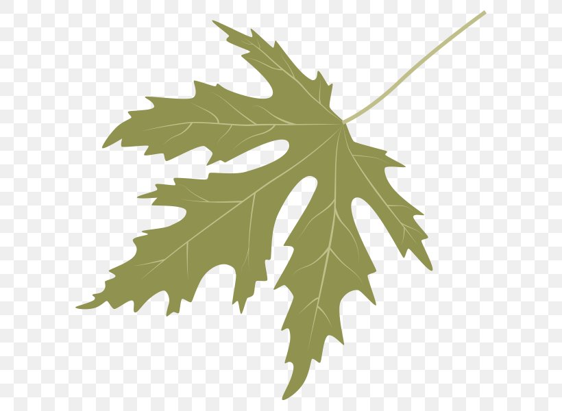 Dinosaur Planet Tree Sweetgum Maple Leaf, PNG, 600x600px, Dinosaur Planet, Arbor Day, Arbor Day Foundation, Leaf, Maple Download Free