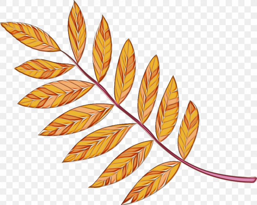 Leaf M-tree Line Flower Tree, PNG, 894x712px, Watercolor, Biology, Flower, Leaf, Line Download Free