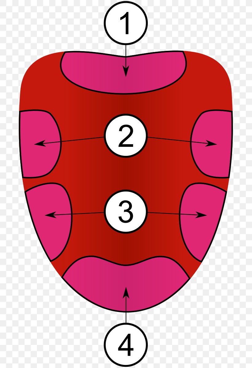 Tongue Map Taste Bud Taste Receptor, PNG, 701x1195px, Tongue Map, Area, Bitterness, Flavor, Magenta Download Free