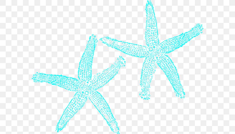 Turquoise Starfish Clip Art, PNG, 600x468px, Turquoise, Aqua, Azure, Blue, Echinoderm Download Free