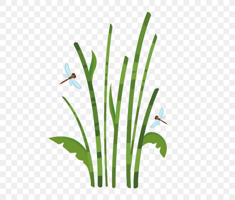 Bamboo Sticker Drawing Bamboe Reed, PNG, 700x700px, Bamboo, Bamboe, Branch, Child, Commodity Download Free