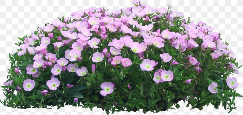 Flower Garden Flowerpot, PNG, 1200x571px, Flower Garden, Annual Plant, Bellflower Family, Cut Flowers, Floral Design Download Free