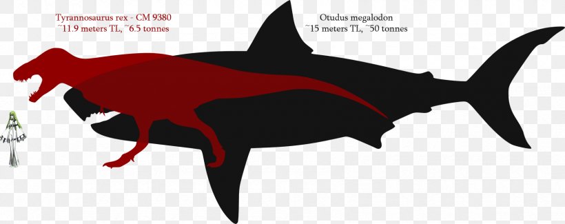 Great White Shark Mosasaurus Tyrannosaurus Megalodon, PNG, 1690x670px, Shark, Animal, Blue Whale, Carcharodon, Fauna Download Free