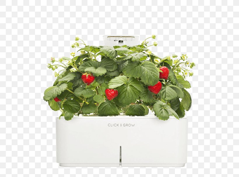 Grow Light Strawberry Garden Herb Greenhouse, PNG, 760x610px, Grow Light, Basil, Cut Flowers, Flower, Flowerpot Download Free