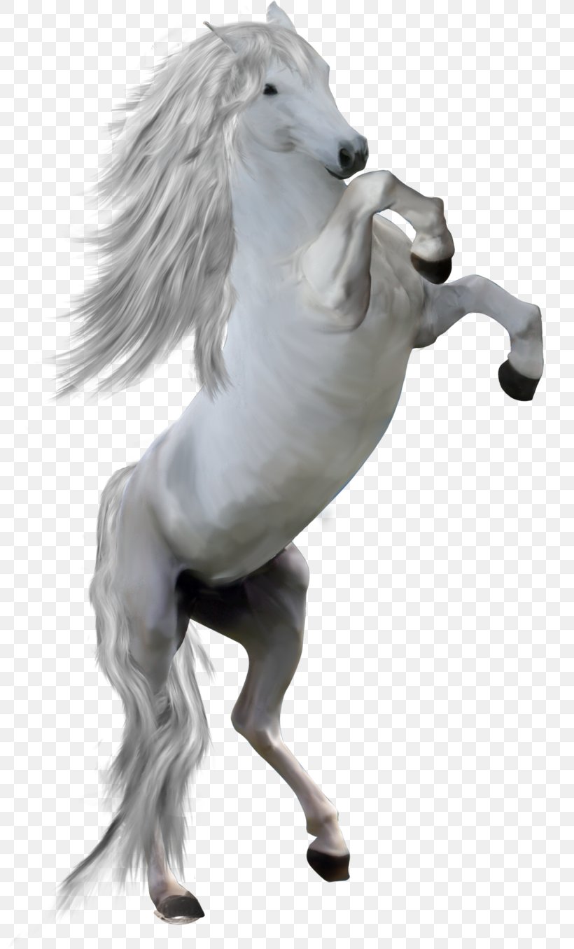 Mane Mustang Pony Stallion, PNG, 800x1356px, Mane, Animal Figure, Art, Art Museum, Black And White Download Free
