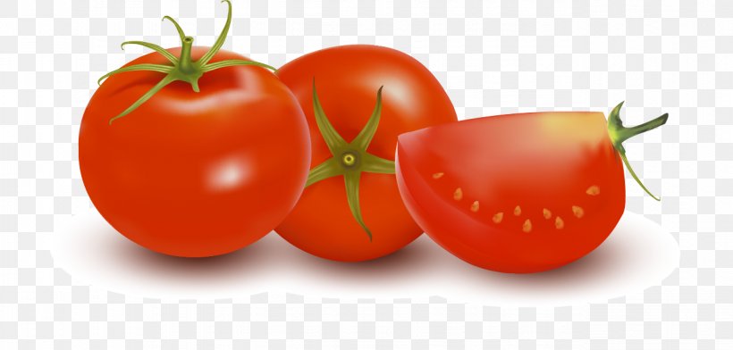 Plum Tomato Vegetarian Cuisine, PNG, 1288x616px, Plum Tomato, Bush Tomato, Diet Food, Food, Fruit Download Free