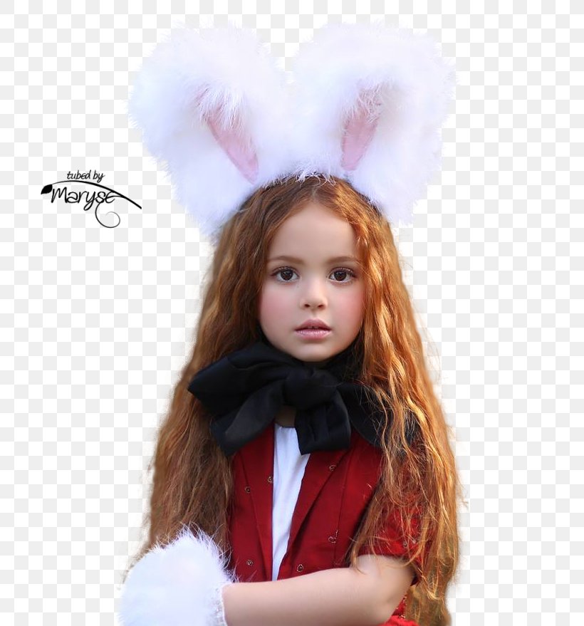 Wig Long Hair Hair Coloring Bear Fairy Tale, PNG, 729x879px, Wig, Bear, Brown Hair, Carnival, Child Download Free