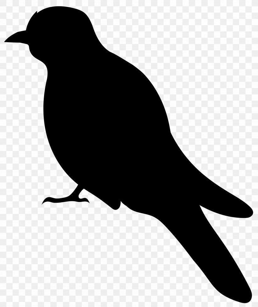 Bird Silhouette Clip Art, PNG, 6716x8000px, Bird, Beak, Bird Flight, Black And White, Crow Download Free