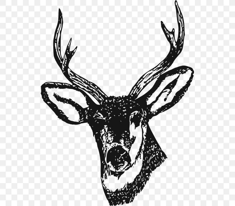 Drawing Deer Henna Clip Art, PNG, 535x720px, Drawing, Antler, Art, Black And White, Decoupage Download Free