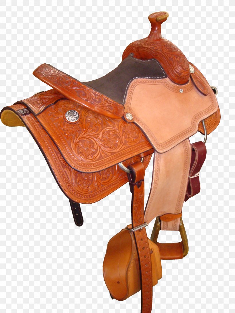 Horse Saddle Rein Halter Bridle, PNG, 2448x3264px, Horse, Bridle, Halter, Horse Like Mammal, Horse Tack Download Free