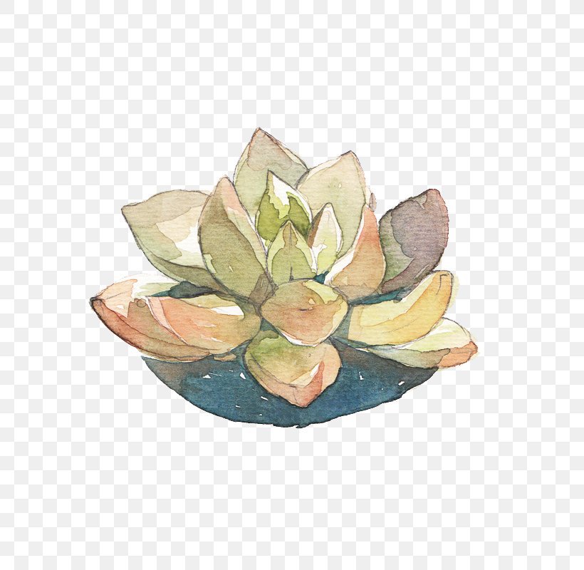 Succulent Plant Watercolor Painting Leaf, PNG, 800x800px, Succulent Plant, Art, Dishware, Drawing, Flower Download Free