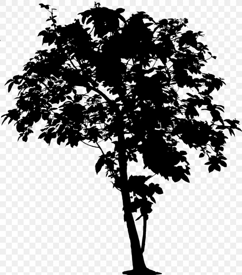 Clip Art Vector Graphics Tree Oak Openclipart, PNG, 865x980px, Tree, Blackandwhite, Branch, Deciduous, Document Download Free