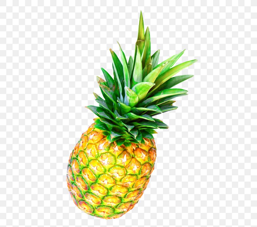 Pineapple Bun Pineapple Tart Pineapple Cake, PNG, 500x725px, Pineapple, Ananas, Bromeliaceae, Flowerpot, Food Download Free