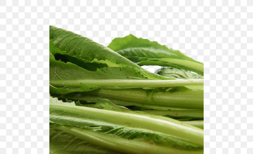 Romaine Lettuce Choy Sum Spring Greens Collard Greens Cabbage, PNG, 500x500px, Watercolor, Cartoon, Flower, Frame, Heart Download Free