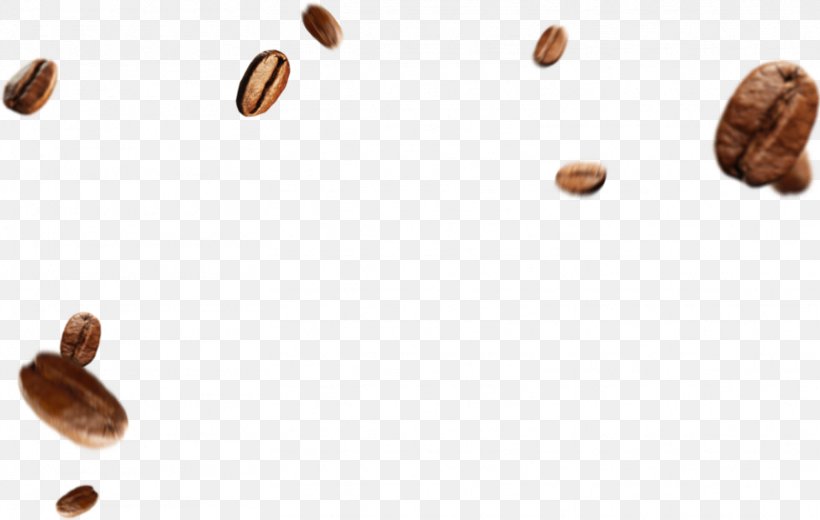 Coffee Bean Cafe Caffè Mocha Coffee Roasting, PNG, 1562x992px, Coffee, Arabica Coffee, Aroma, Cafe, Caffeine Download Free