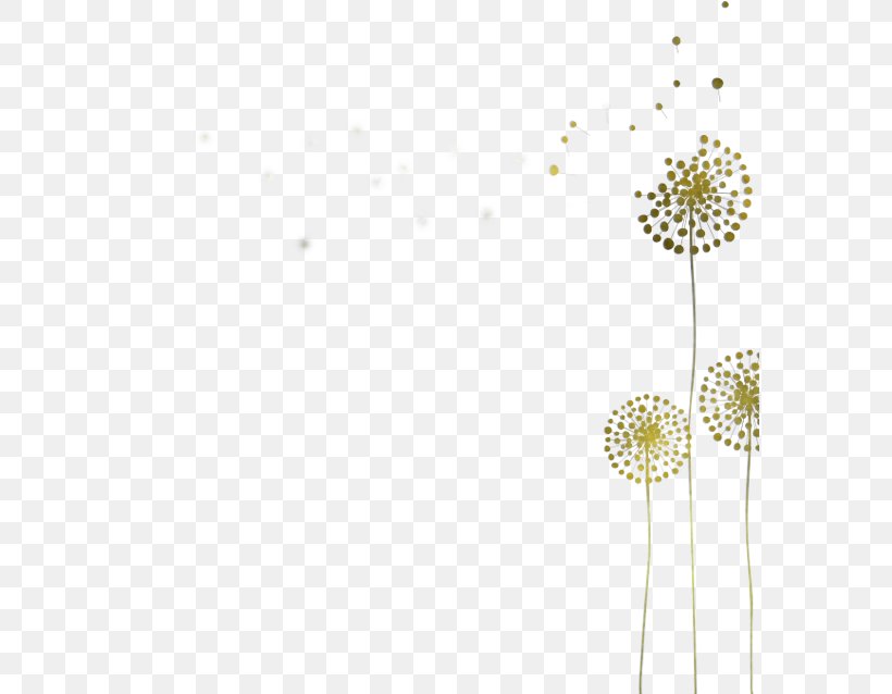 Dandelion Dandelion Flower Plant Line, PNG, 576x638px, Dandelion, Flower, Pedicel, Plant, Wildflower Download Free