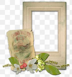 Frame Images Frame Transparent Png Free Download