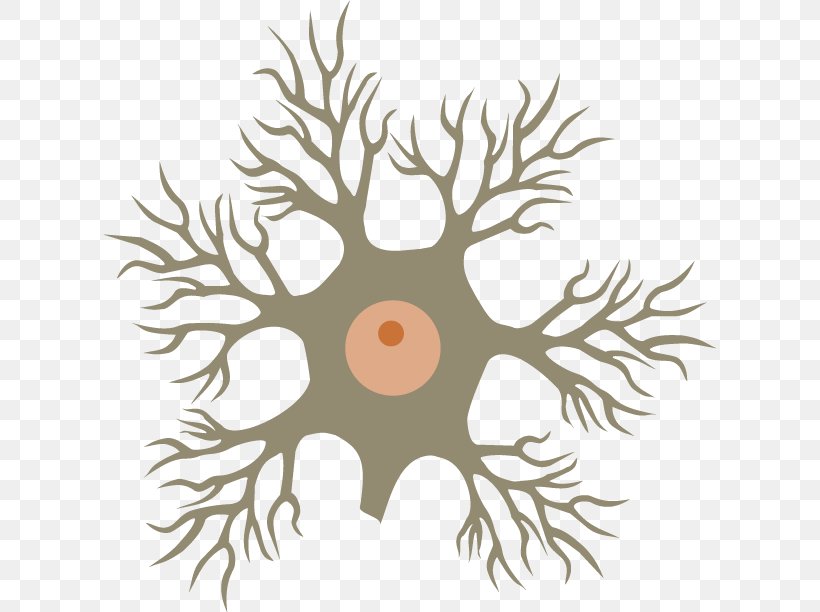 Stock Photography Neuron Royalty-free, PNG, 613x612px, Stock Photography, Branch, Cell, Industry, Leaf Download Free