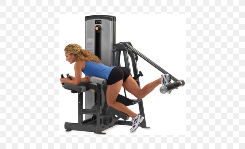 Exercise Machine Exercise Equipment Fitness Centre Gluteus Maximus Muscle, PNG, 500x500px, Watercolor, Cartoon, Flower, Frame, Heart Download Free