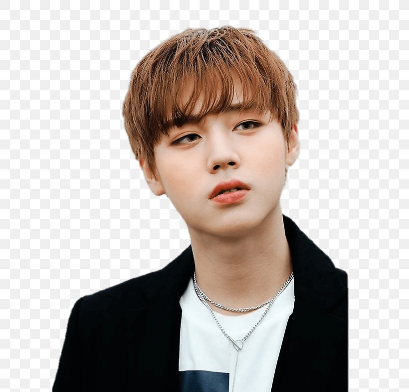 Park Jihoon Wanna One Produce 101 Season 2 Burn It Up, PNG, 610x787px, Park Jihoon, Bangs, Black Hair, Bob Cut, Bowl Cut Download Free