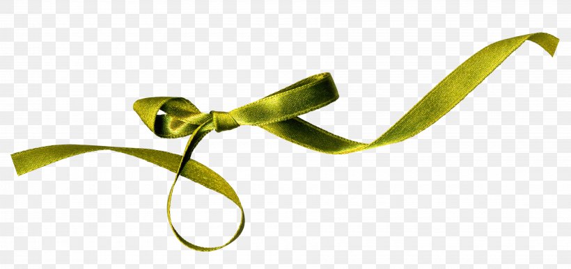 Ribbon Silk Clip Art, PNG, 3600x1700px, Ribbon, Gift, Gratis, Leaf, Organism Download Free