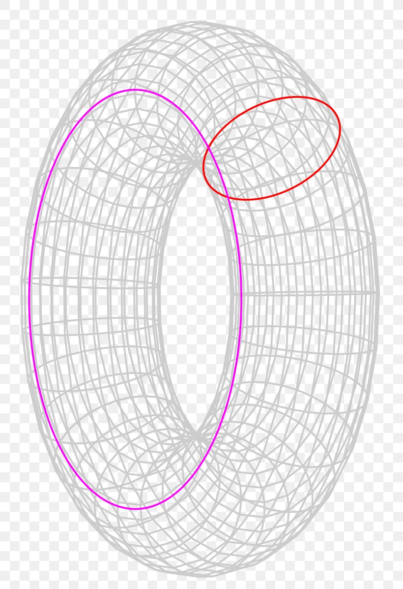 Torus Circle Topology Homeomorphism Surface, PNG, 786x1197px, Torus, Area, Cartesian Product, Clifford Torus, Geometric Topology Download Free