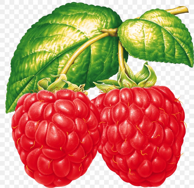 Fruit Salad Raspberry Spread Food, PNG, 2286x2215px, Raspberry, Accessory Fruit, Berry, Blackberry, Boysenberry Download Free