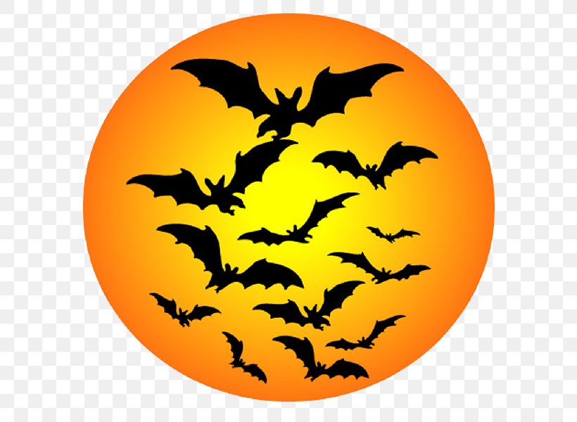 Halloween Bat Clip Art, PNG, 600x600px, Halloween, Art, Bat, Halloween Film Series, Leaf Download Free