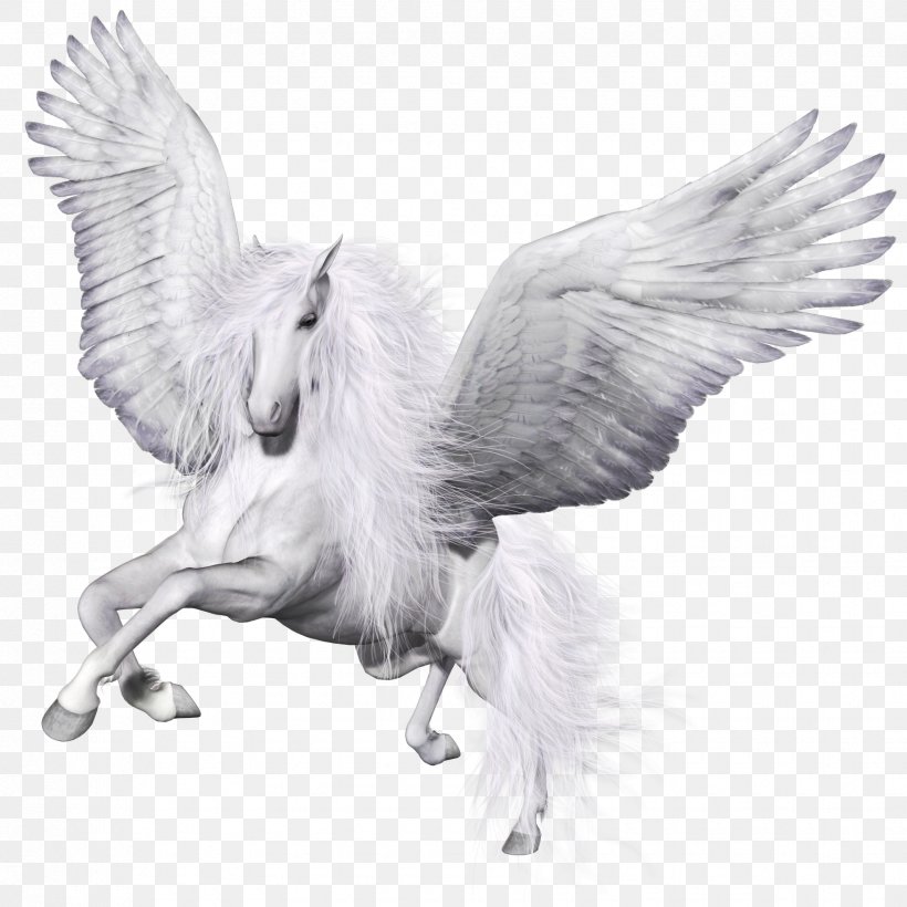 Winged Unicorn Pegasus Horse Pillow, PNG, 1750x1750px, Unicorn, Beak, Bird, Bird Of Prey, Black And White Download Free