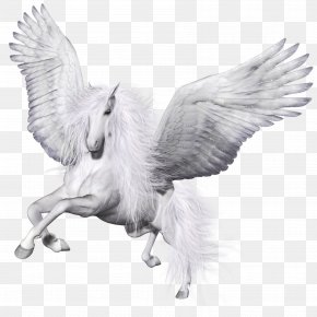 Winged Unicorn Pegasus Wikipedia Dictionary, PNG, 2323x3000px, Unicorn ...