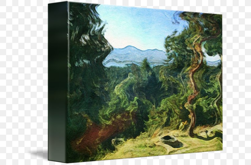 Biome Painting Rainforest Landscape Tree, PNG, 650x539px, Biome, Ecosystem, Forest, Jungle, Landscape Download Free