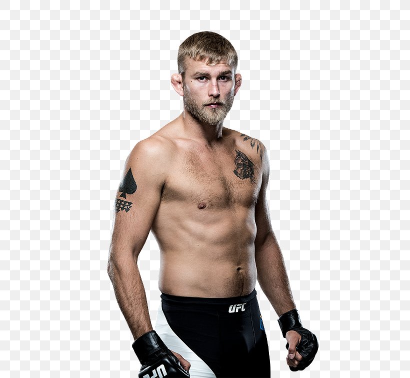 Alexander Gustafsson UFC 192: Cormier Vs. Gustafsson UFC Fight Night 109: Gustafsson Vs. Teixeira Light Heavyweight Mixed Martial Arts, PNG, 504x755px, Watercolor, Cartoon, Flower, Frame, Heart Download Free