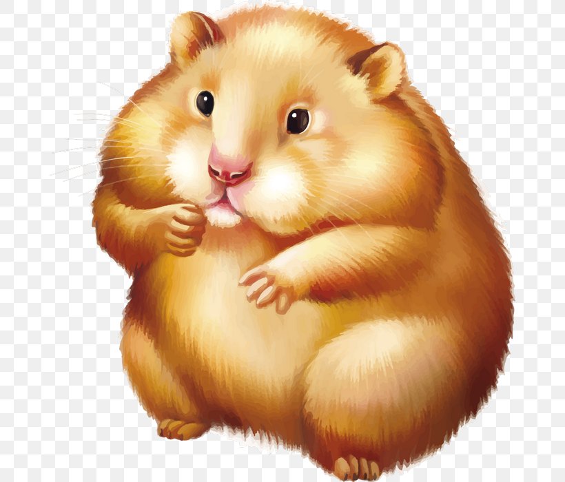 Golden Hamster Mouse Rodent, PNG, 677x700px, Hamster, Dormouse, Drawing, Fauna, Golden Hamster Download Free