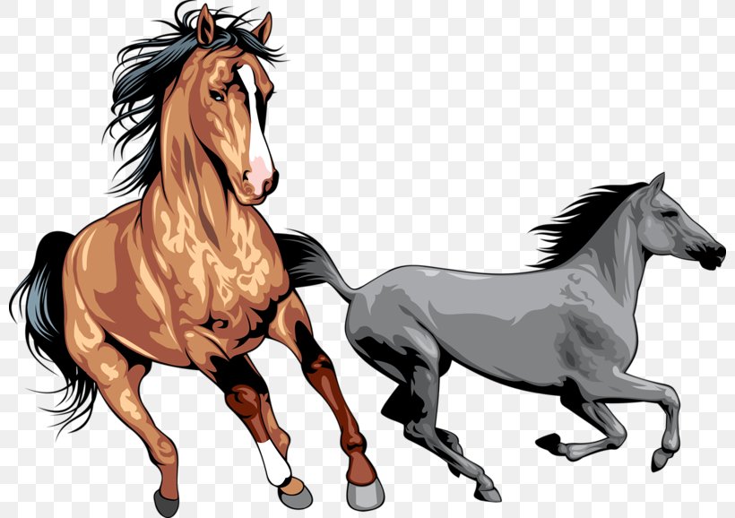 Mustang Wild Horse Clip Art, PNG, 800x578px, Mustang, Bridle, Horse, Horse Like Mammal, Horse Supplies Download Free