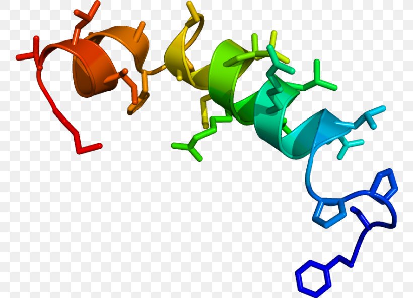 Orexin Neurotransmitter Neuropeptide Neuron Sleep, PNG, 760x591px, Orexin, Area, Arousal, Artwork, Cataplexy Download Free