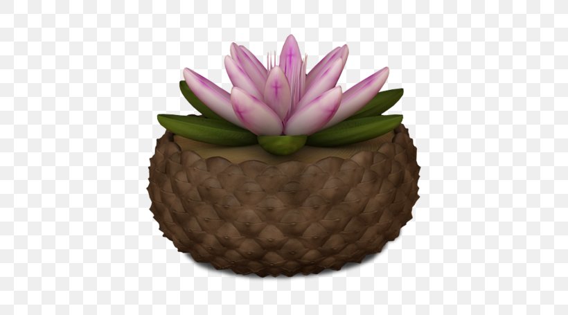 Flower Nelumbo Nucifera, PNG, 600x455px, Flower, Flowerpot, Jpeg Network Graphics, Lotus Effect, Nelumbo Nucifera Download Free