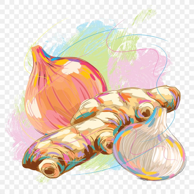 Ginger Illustration, PNG, 1000x1000px, Ginger, Art, Drawing, Food, Getty Images Download Free