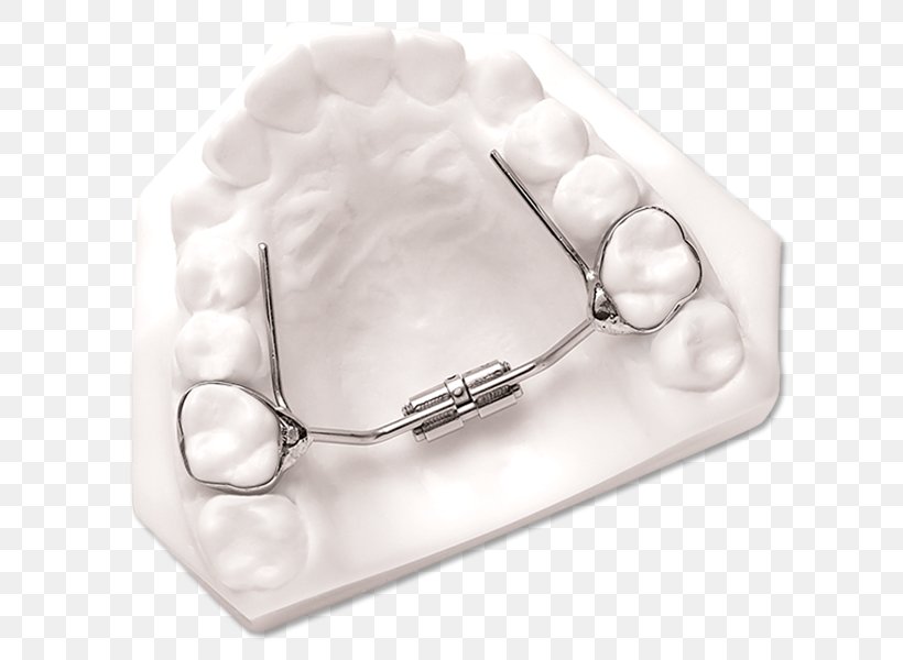 Home Appliance DynaFlex Jaw Silver, PNG, 641x600px, Home Appliance, Dynaflex, Jaw, Mandible, Material Download Free