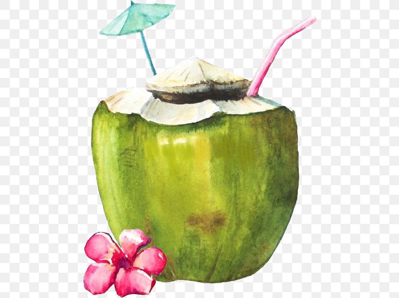 Watercolor Plant, PNG, 480x612px, Cocktail, Coconut, Coconut Milk, Coconut Water, Drink Download Free
