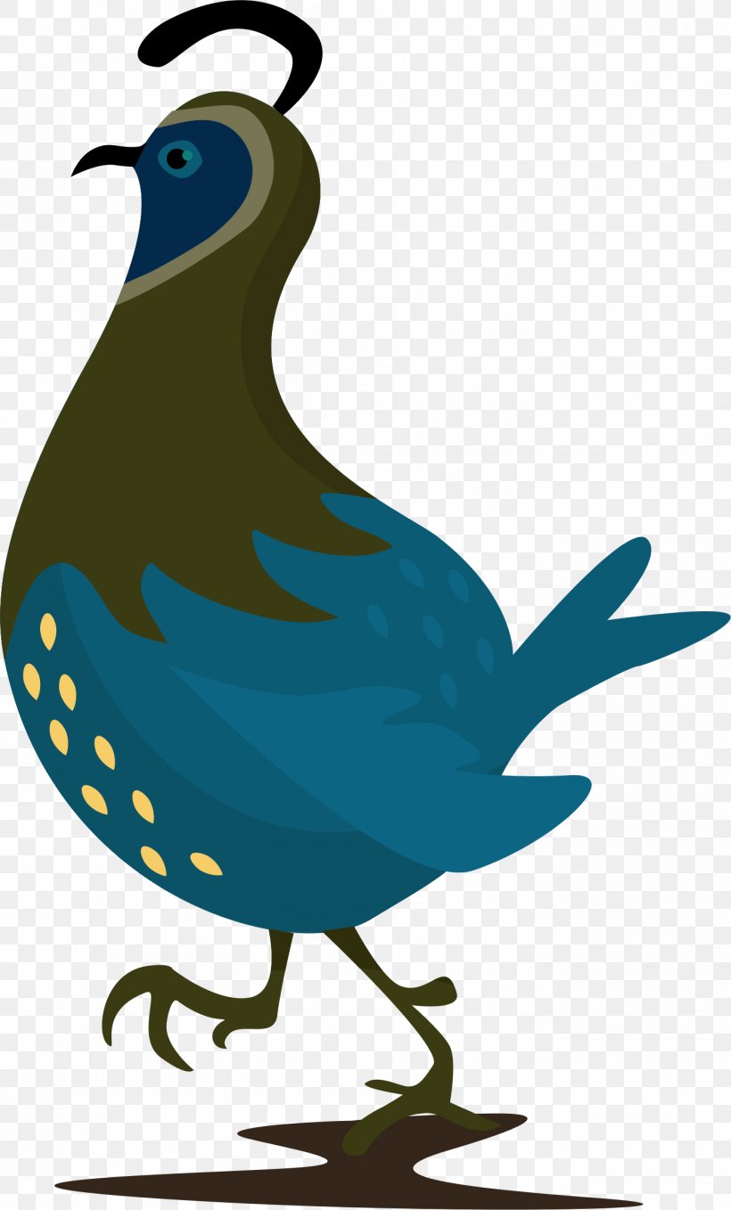 Beak Wren Galliformes Clip Art, PNG, 1403x2324px, Beak, Artwork, Bird, Fauna, Feather Download Free