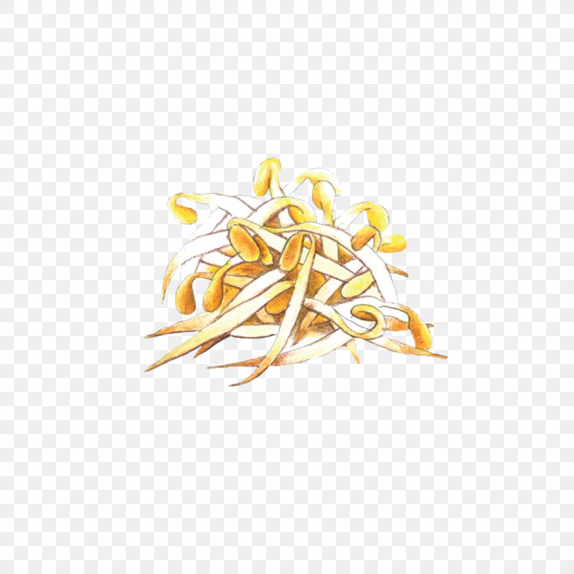 Commodity Shoot Bean Sprout, PNG, 1024x1024px, Commodity, Bean Sprout, Bean Sprouts, Food, Ingredient Download Free