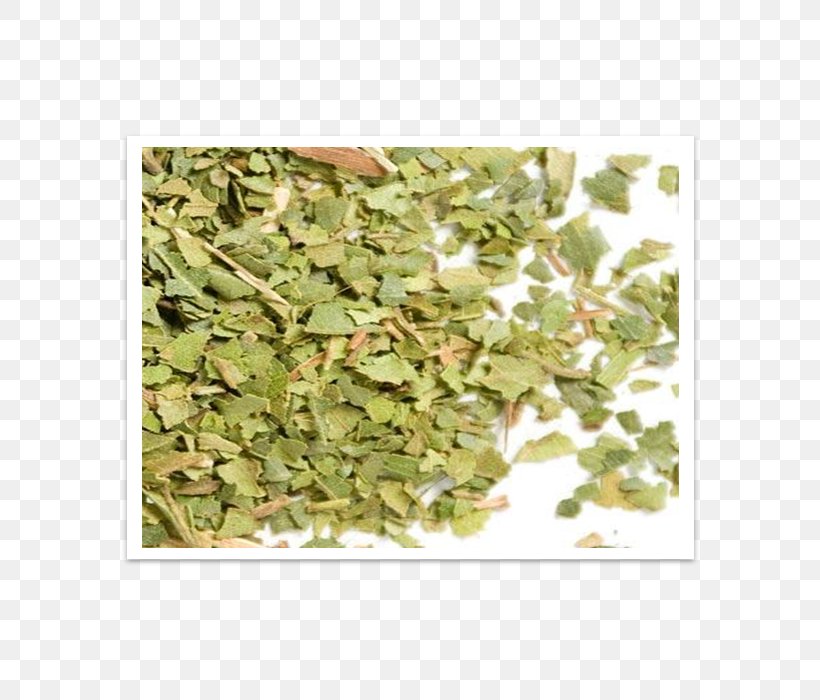 Herb Lemon Myrtle Leaf Camouflage, PNG, 700x700px, Herb, Camouflage, Grass, Leaf, Lemon Myrtle Download Free