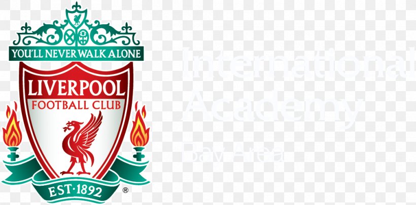 Liverpool F.C. Reserves And Academy Egypt National Football Team, PNG, 1010x499px, Liverpool Fc, American Football, Association Football Manager, Brand, Coach Download Free