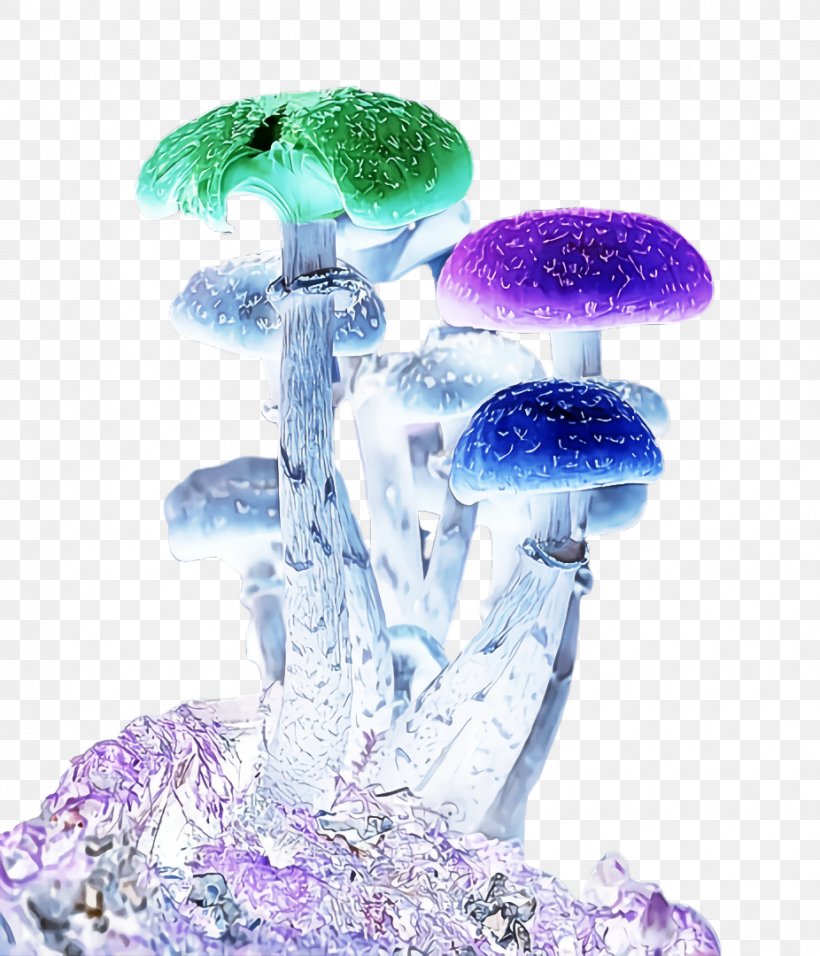 Purple Violet Mushroom Plant Liquid, PNG, 926x1080px, Purple, Liquid, Mushroom, Plant, Violet Download Free