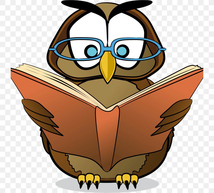 Reading Clip Art Education Teacher National Primary School, PNG, 738x738px, Reading, Beak, Bird, Bird Of Prey, Book Download Free