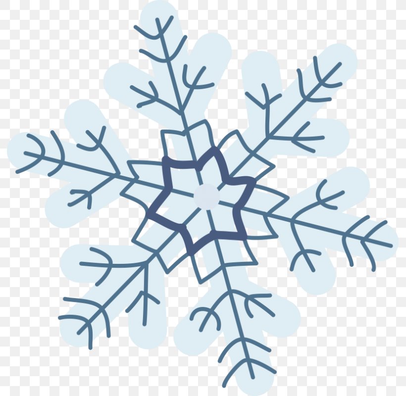 Snowflake Line Pattern, PNG, 800x800px, Snowflake, Branch, Symbol, Symmetry, Tree Download Free
