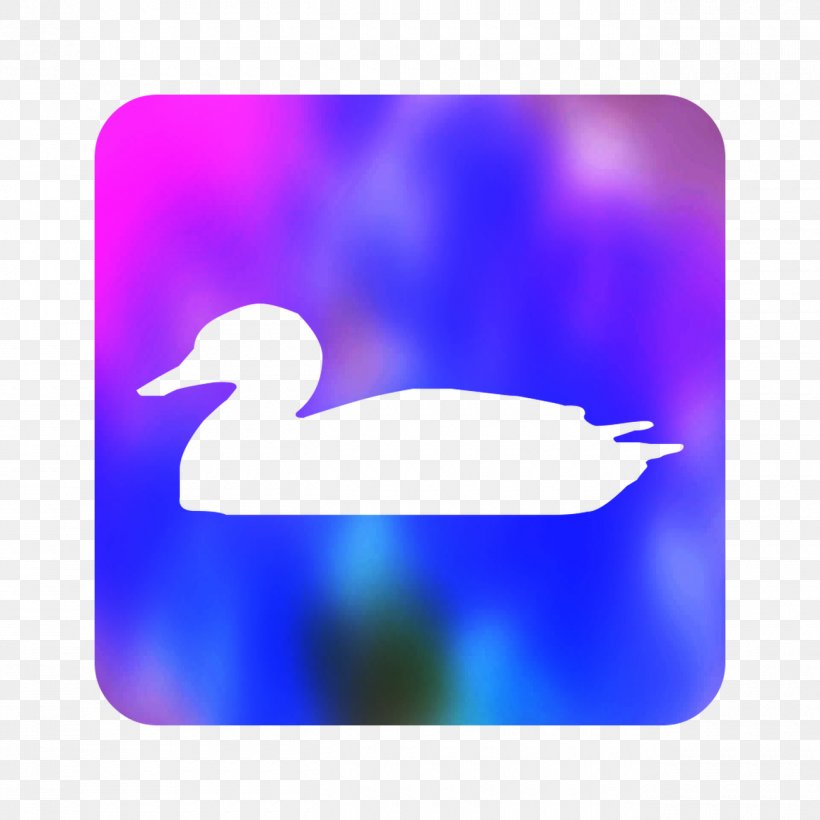 Water Bird Purple Sky, PNG, 1300x1300px, Bird, Beak, Duck, Ducks Geese And Swans, Purple Download Free